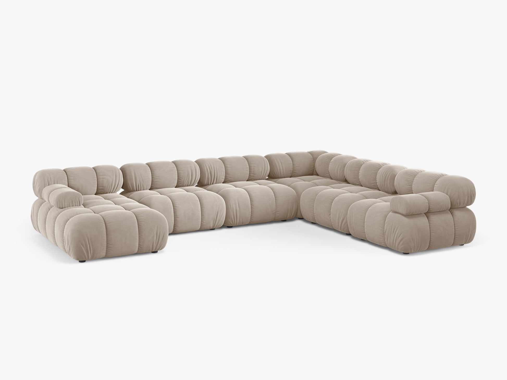 Bellis Velvet (Blu30) / Dark beige 0